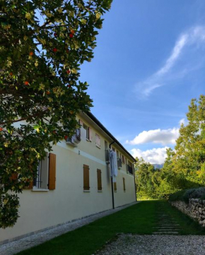 BeeHouse - La Casa delle Api Agriturismo